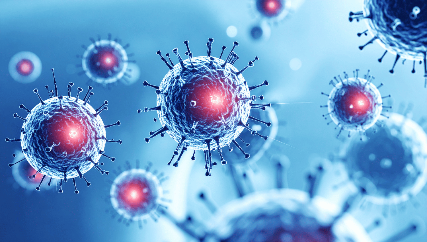 Images - website collab pages (17)