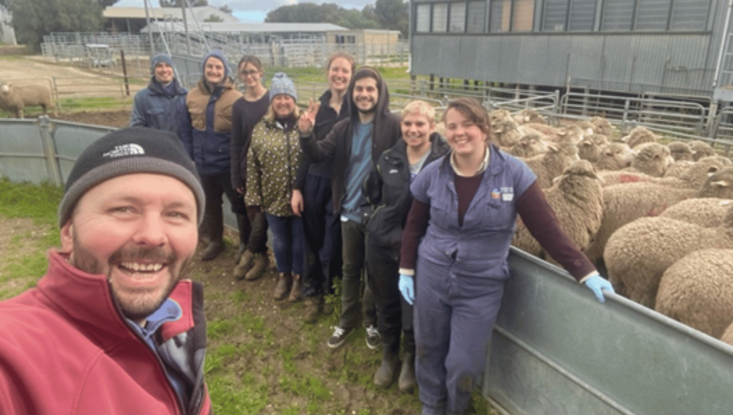 Images - website collab pages (19)