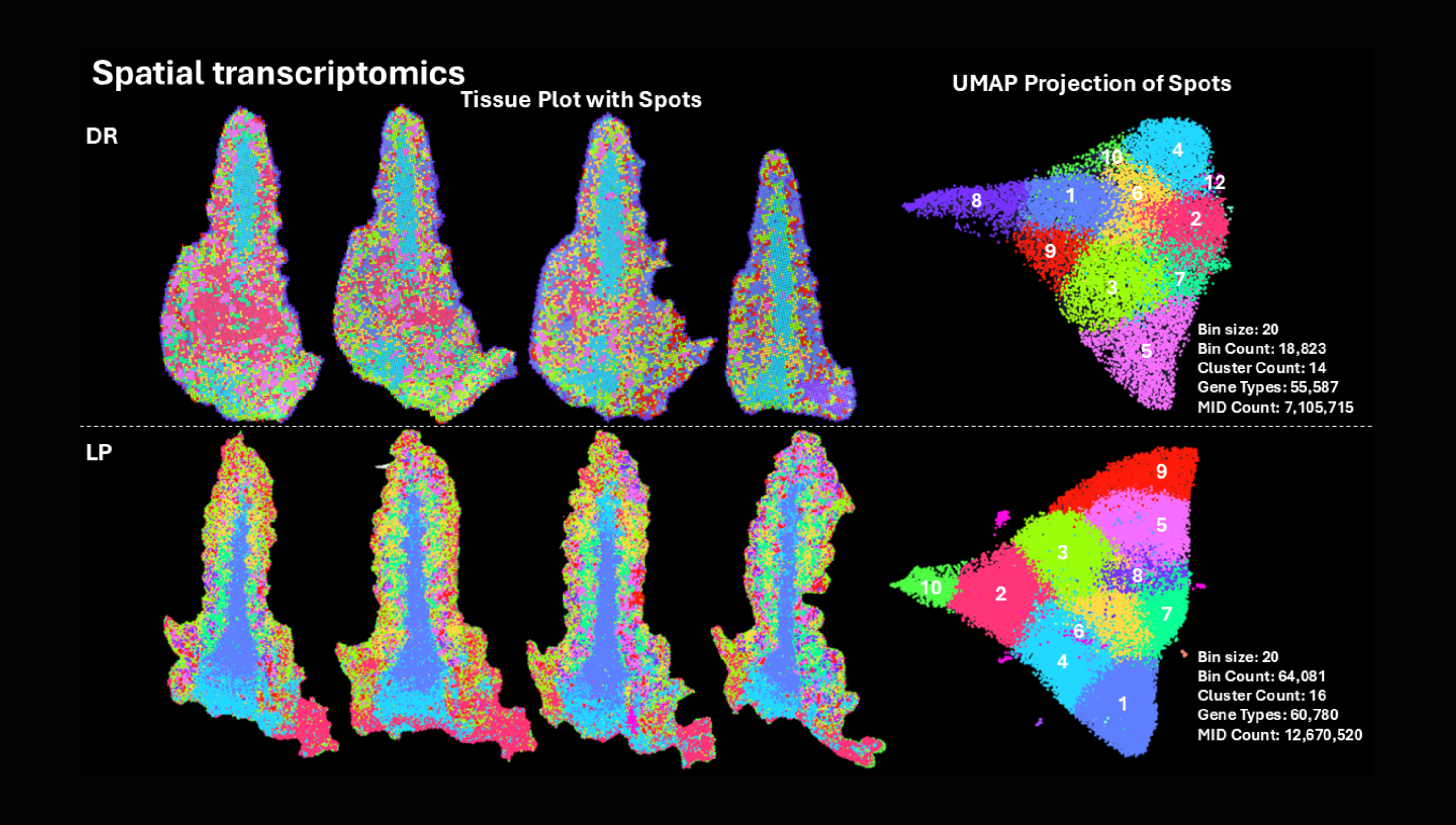 Images - website collab pages (3)