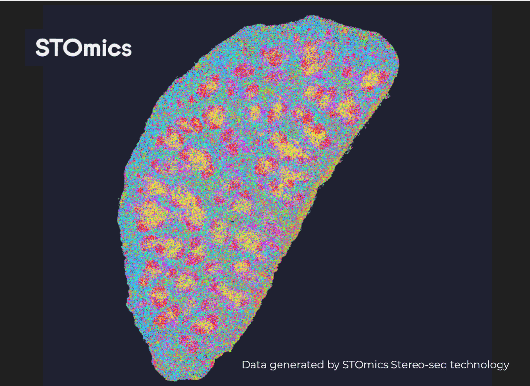 Mouse Spleen Protein Clustering (1)