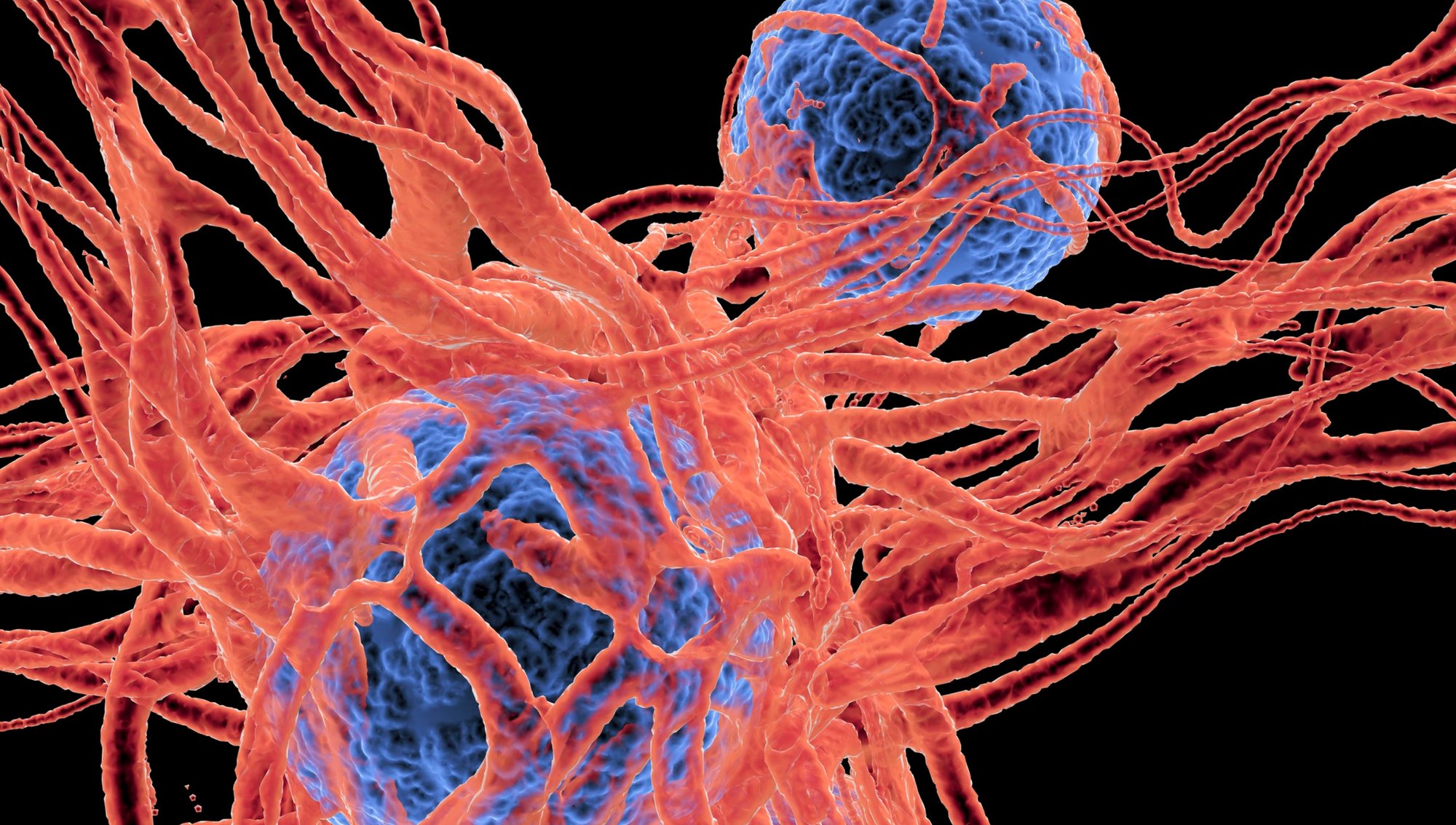 ONCOLOGY - Novel Targets in Blood and Brain Cancer (1)