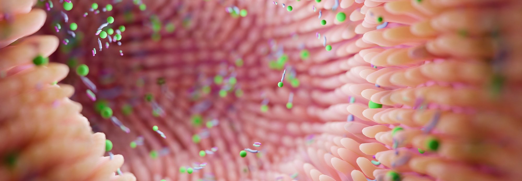 SAGC Website Header Images (8)