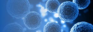 Single Cell Sequencing